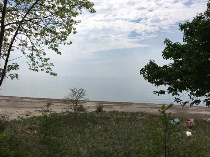 Beach With Trees And Overcast Sky